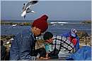 marocco_essaouira_9351.jpg