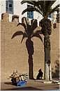 marocco_essaouira_9636.jpg