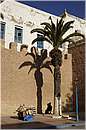 marocco_essaouira_9637.jpg