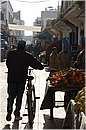 marocco_essaouira_9648.jpg