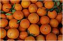 marocco_essaouira_9688.jpg