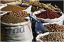 marocco_essaouira_9693.jpg