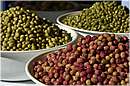 marocco_essaouira_9699.jpg