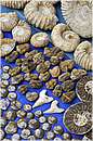 marocco_essaouira_9736.jpg