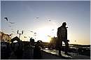 marocco_essaouira_9924.jpg