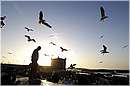 marocco_essaouira_9931.jpg