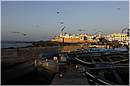 marocco_essaouira_9942.jpg
