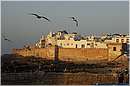 marocco_essaouira_9963.jpg