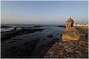 marocco_essaouira_9989.jpg