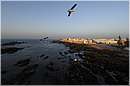 marocco_essaouira_9997.jpg