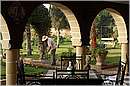 marocco_essaouira_mimosas_8940.jpg