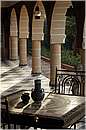 marocco_essaouira_mimosas_8941.jpg