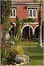 marocco_essaouira_mimosas_8952.jpg
