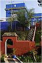 marocco_essaouira_mimosas_8965.jpg