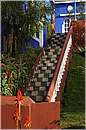 marocco_essaouira_mimosas_8967.jpg