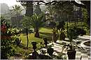marocco_essaouira_mimosas_8968.jpg