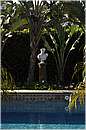 marocco_essaouira_mimosas_9617.jpg
