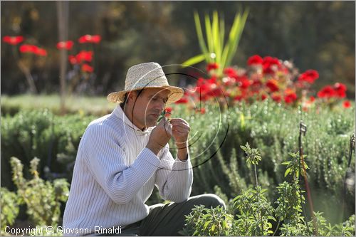 MAROCCO - MAROC - MOROCCO - (MARRAKECH) - Nectarome - Giardino Bioaromatico d'Ourika (www.nectarome.com)