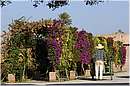 marocco_marrakech_beldi_0342.jpg