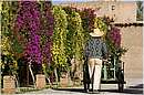 marocco_marrakech_beldi_0343.jpg