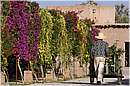 marocco_marrakech_beldi_0344.jpg