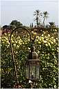 marocco_marrakech_beldi_0367.jpg