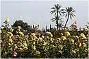 marocco_marrakech_beldi_0373.jpg