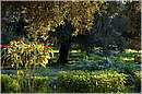 marocco_marrakech_beldi_0393.jpg