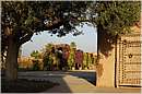 marocco_marrakech_beldi_0396.jpg