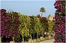 marocco_marrakech_beldi_0399.jpg