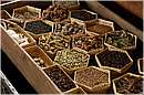 marocco_marrakech_maison_arabe_0653.jpg