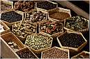 marocco_marrakech_maison_arabe_0654.jpg
