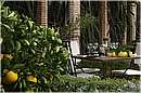 marocco_marrakech_maison_arabe_0677.jpg