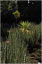 marocco_nectarome_0199.jpg