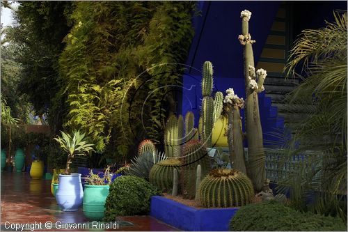 MAROCCO - MAROC - MOROCCO - MARRAKECH - Jardin Majorelle (www.jardinmajorelle.com)