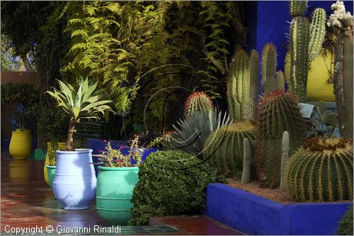 MAROCCO - MAROC - MOROCCO - MARRAKECH - Jardin Majorelle (www.jardinmajorelle.com)