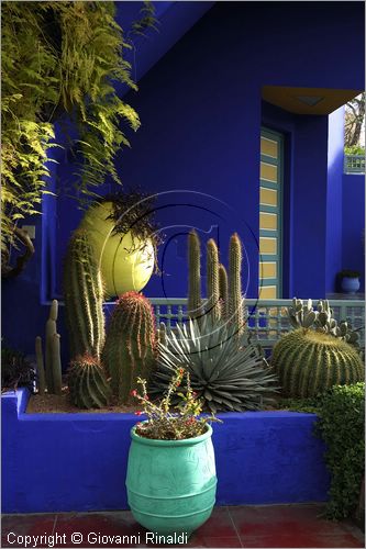 MAROCCO - MAROC - MOROCCO - MARRAKECH - Jardin Majorelle (www.jardinmajorelle.com)