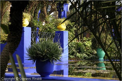 MAROCCO - MAROC - MOROCCO - MARRAKECH - Jardin Majorelle (www.jardinmajorelle.com)