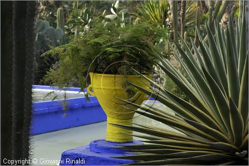 MAROCCO - MAROC - MOROCCO - MARRAKECH - Jardin Majorelle (www.jardinmajorelle.com)