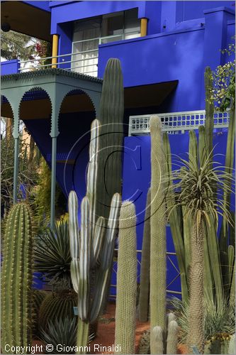 MAROCCO - MAROC - MOROCCO - MARRAKECH - Jardin Majorelle (www.jardinmajorelle.com)