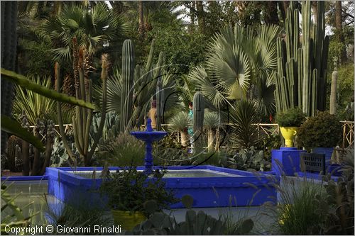 MAROCCO - MAROC - MOROCCO - MARRAKECH - Jardin Majorelle (www.jardinmajorelle.com)