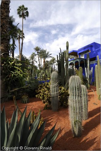 MAROCCO - MAROC - MOROCCO - MARRAKECH - Jardin Majorelle (www.jardinmajorelle.com)