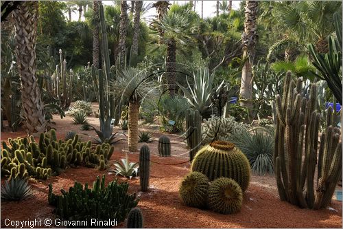 MAROCCO - MAROC - MOROCCO - MARRAKECH - Jardin Majorelle (www.jardinmajorelle.com)