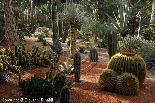 MAROCCO - MAROC - MOROCCO - MARRAKECH - Jardin Majorelle (www.jardinmajorelle.com)