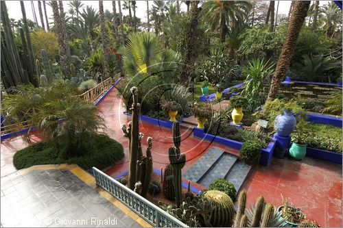 MAROCCO - MAROC - MOROCCO - MARRAKECH - Jardin Majorelle (www.jardinmajorelle.com)