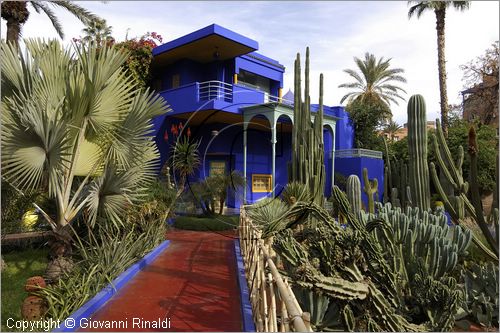 MAROCCO - MAROC - MOROCCO - MARRAKECH - Jardin Majorelle (www.jardinmajorelle.com)