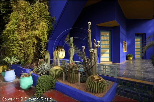 MAROCCO - MAROC - MOROCCO - MARRAKECH - Jardin Majorelle (www.jardinmajorelle.com)