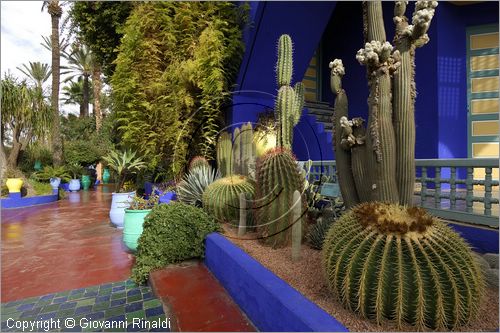 MAROCCO - MAROC - MOROCCO - MARRAKECH - Jardin Majorelle (www.jardinmajorelle.com)