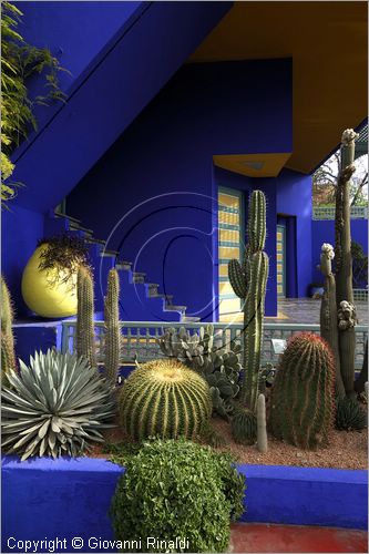 MAROCCO - MAROC - MOROCCO - MARRAKECH - Jardin Majorelle (www.jardinmajorelle.com)