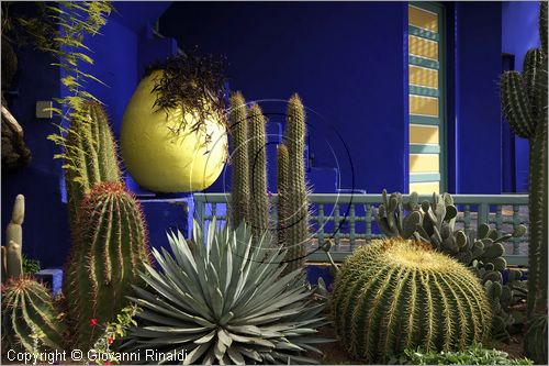 MAROCCO - MAROC - MOROCCO - MARRAKECH - Jardin Majorelle (www.jardinmajorelle.com)